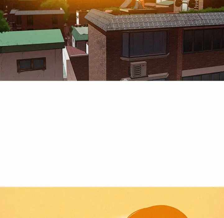 第17张
