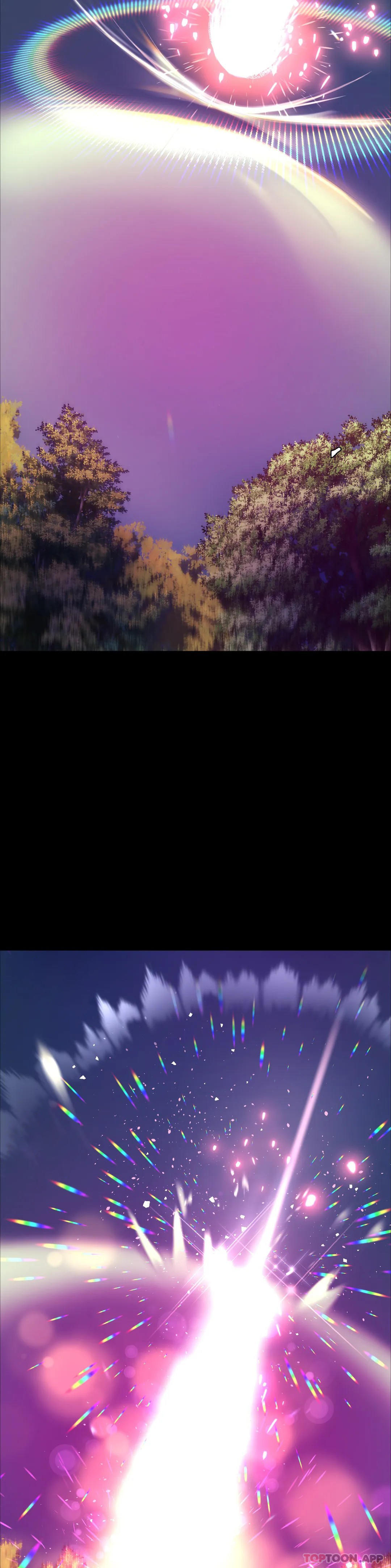 第13张
