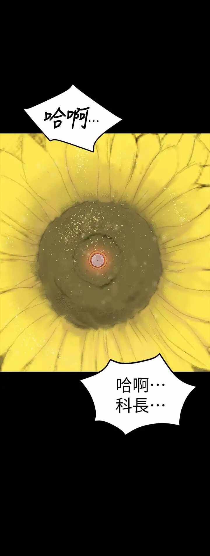 第35张
