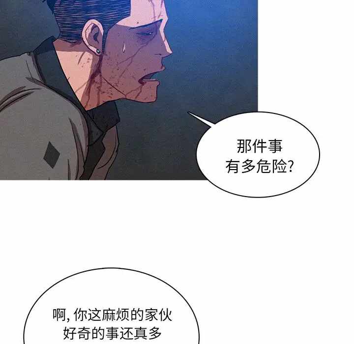 第26张