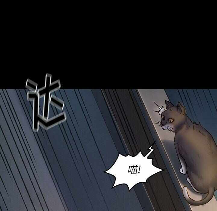 第144张