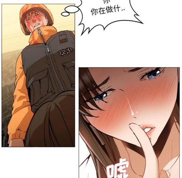 第12张