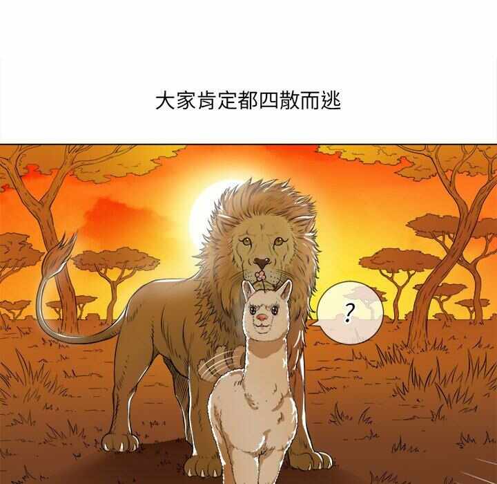 第63张