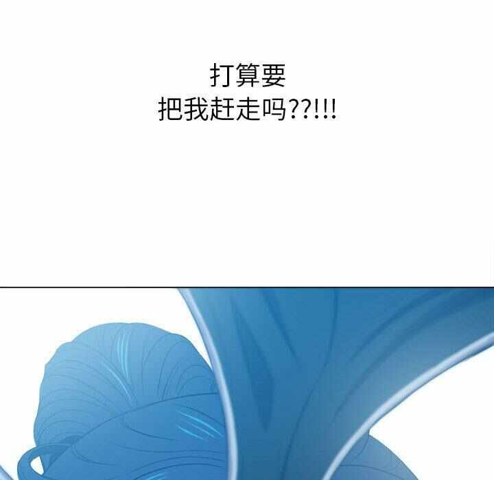 第44张