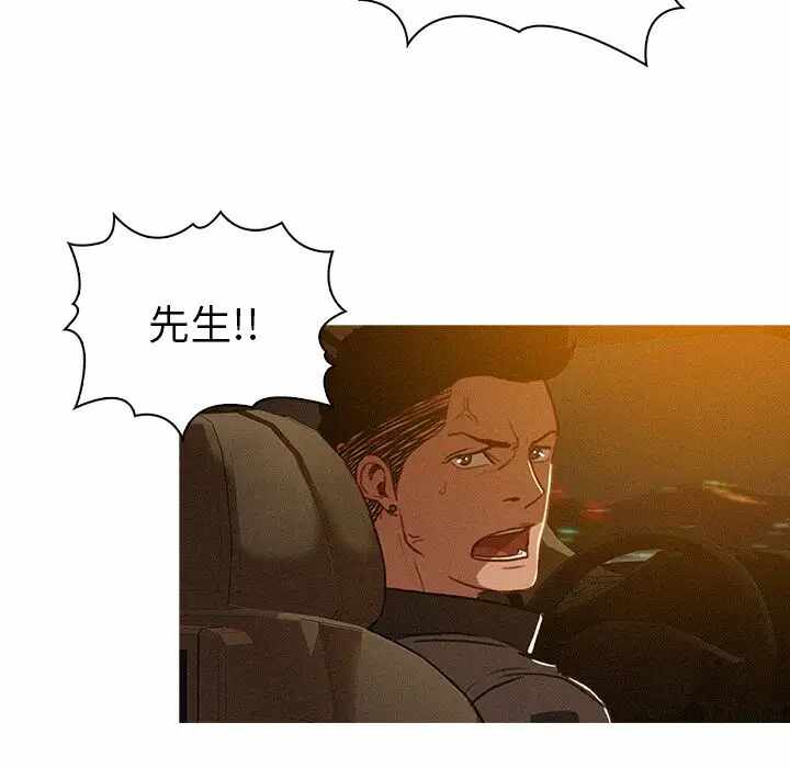 第43张