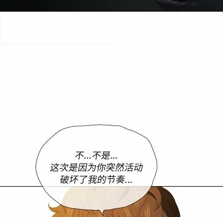 第46张