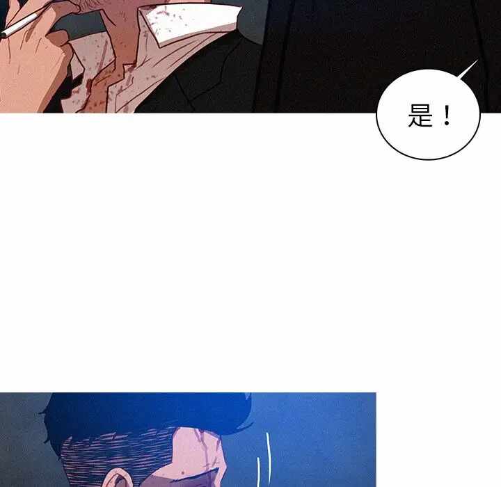 第56张