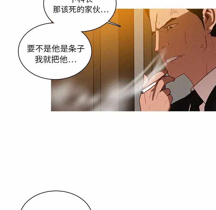 第48张