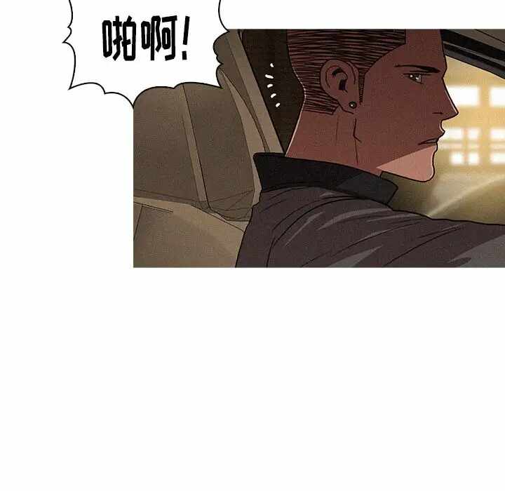 第11张