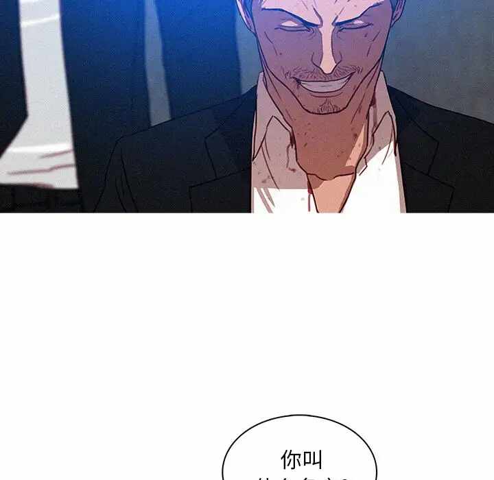 第73张