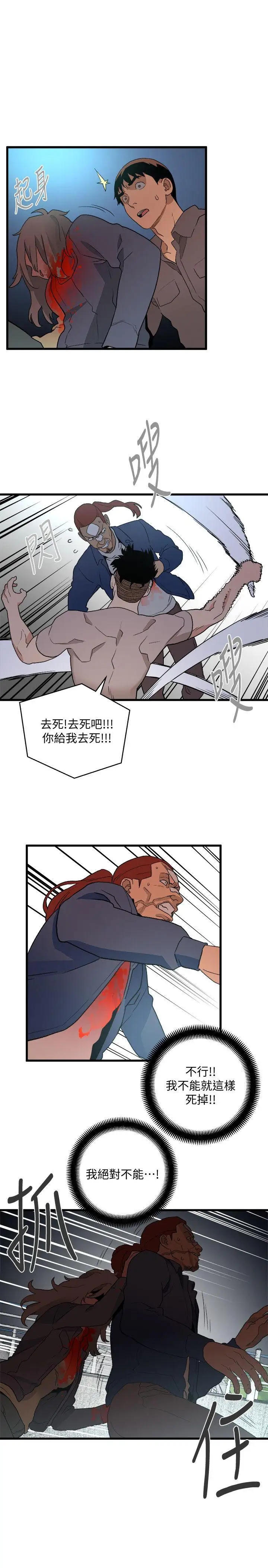 第19张