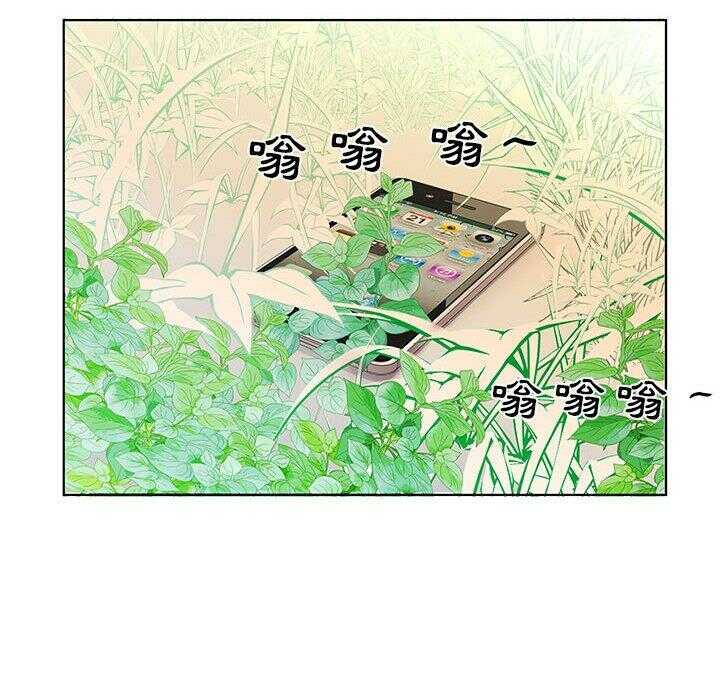 第7张