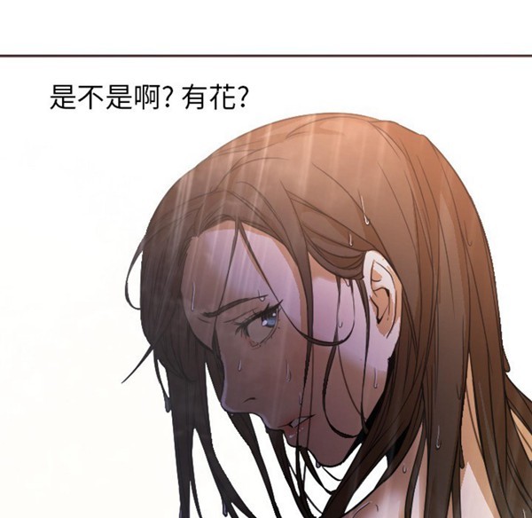 第42张