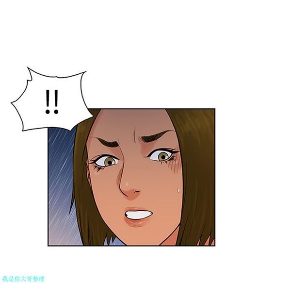 第38张