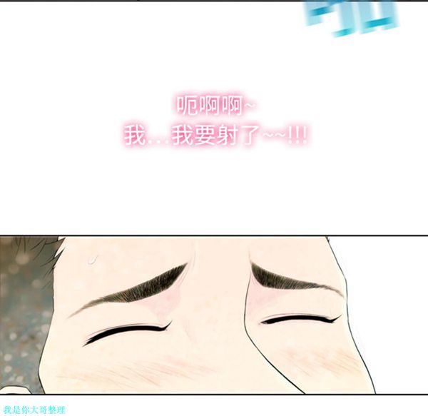第43张