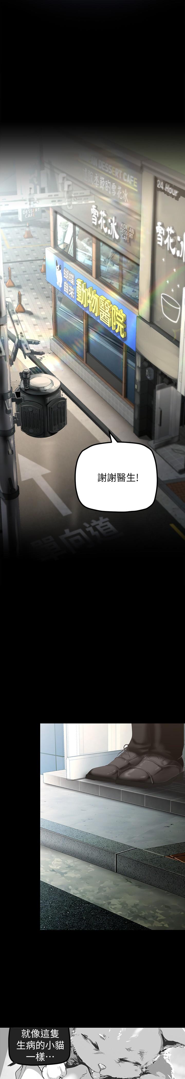 第21张