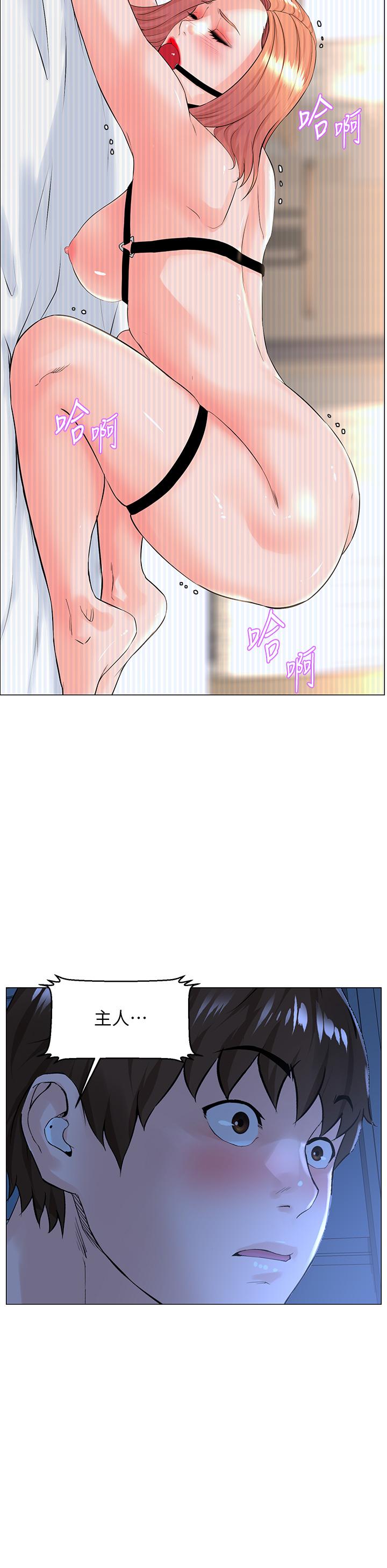 第31张