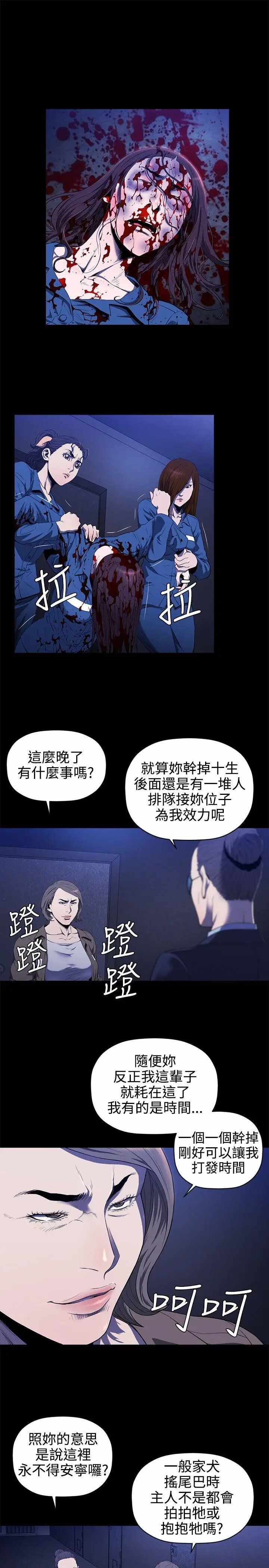 第17张