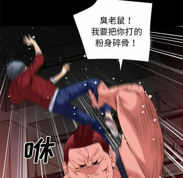 第13张