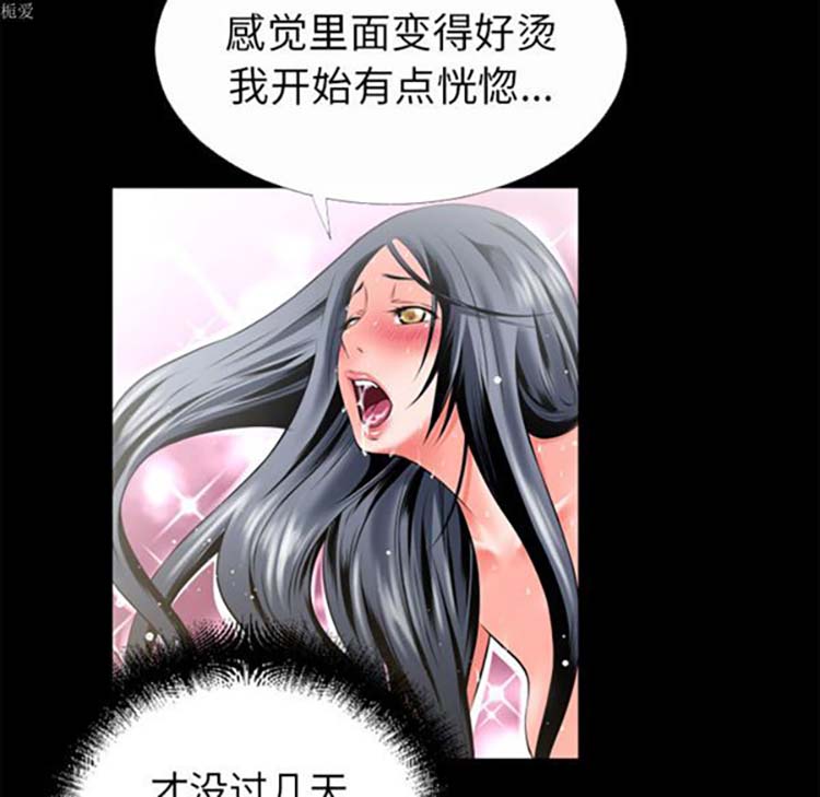 第11张