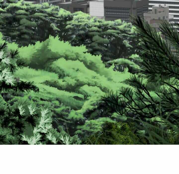 第2张