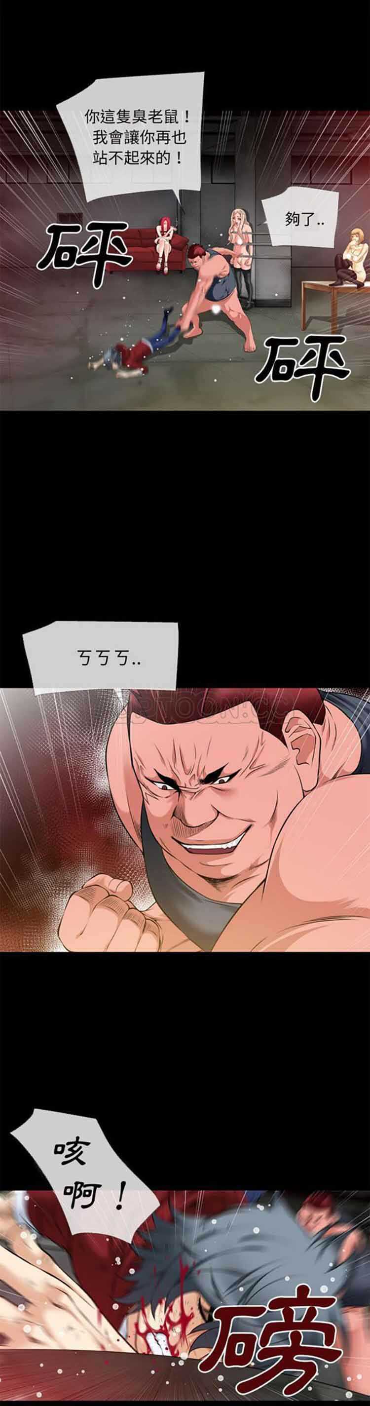 第3张