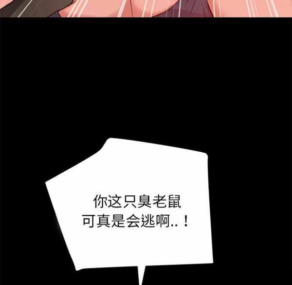 第3张