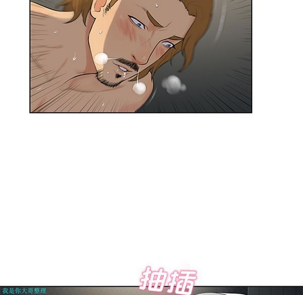 第91张