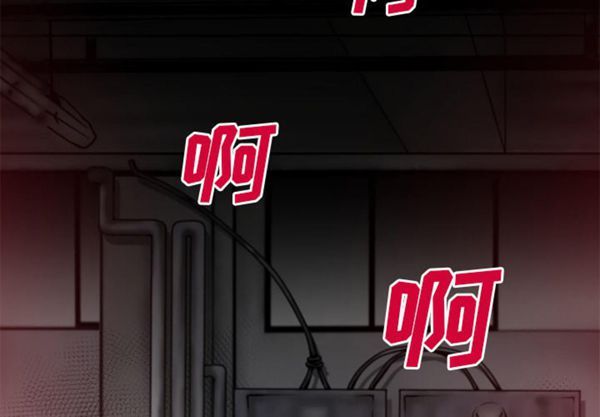 第8张