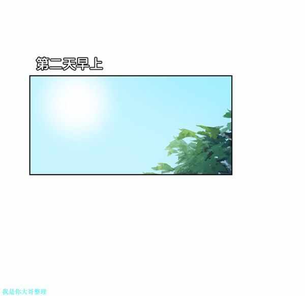 第43张
