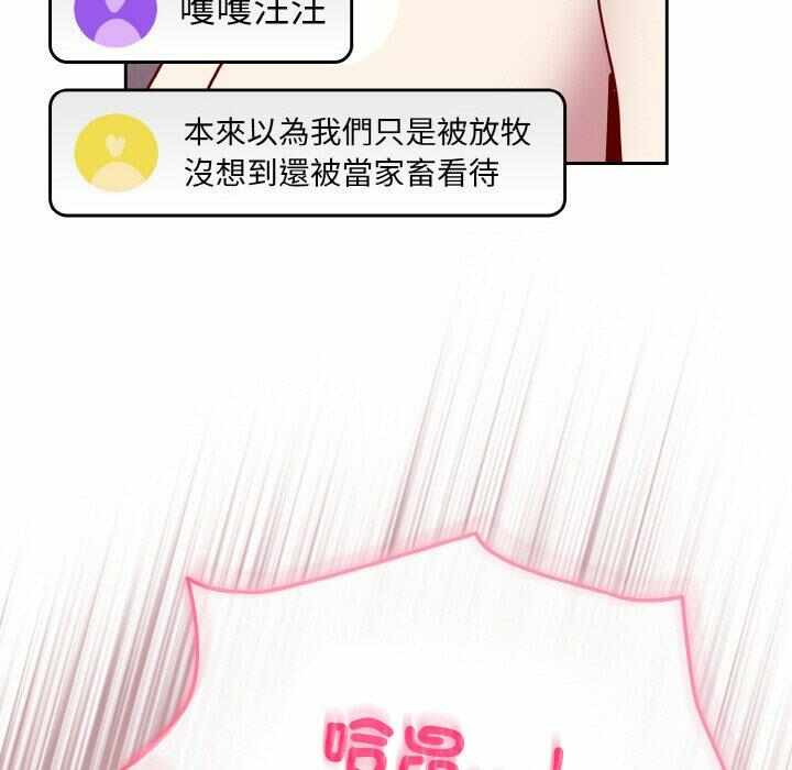 第144张