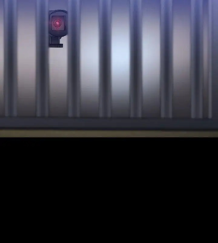 第11张