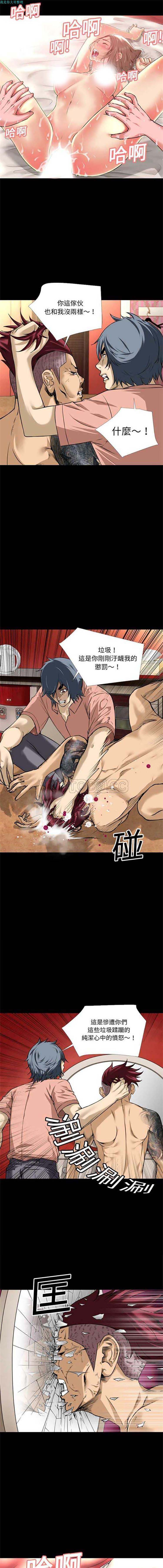 第8张