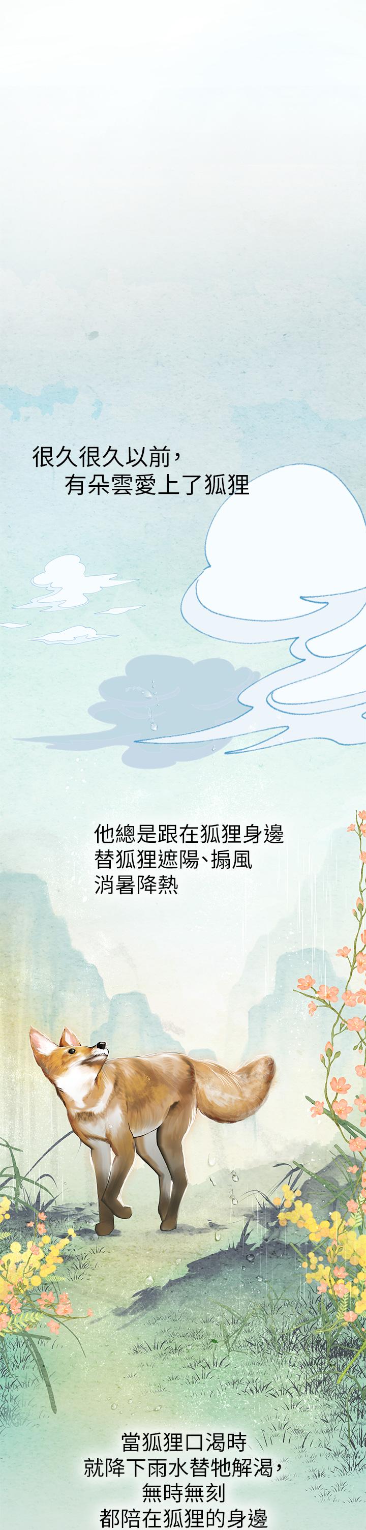 第26张