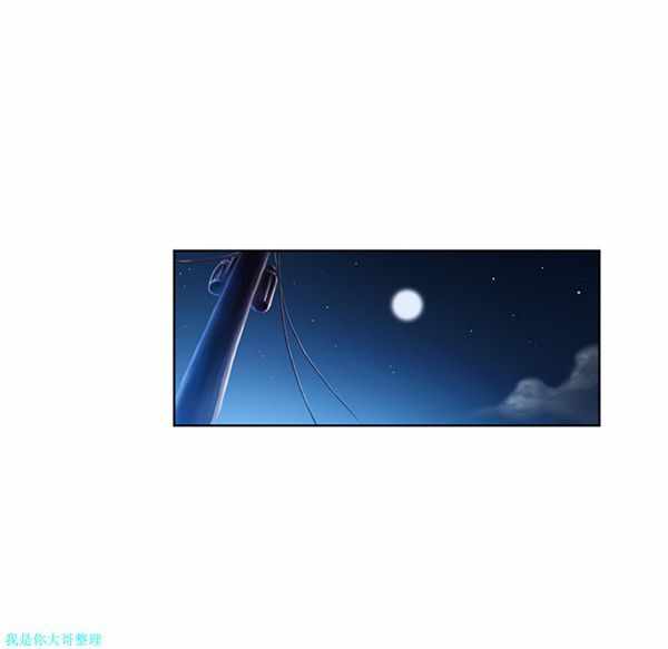 第53张