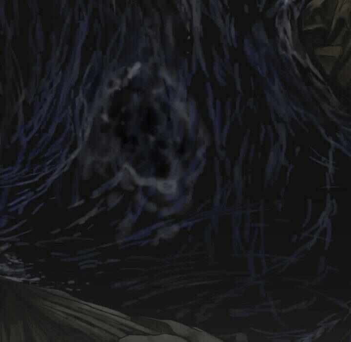 第17张