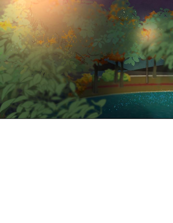第31张