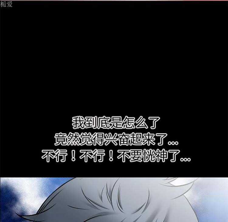 第43张