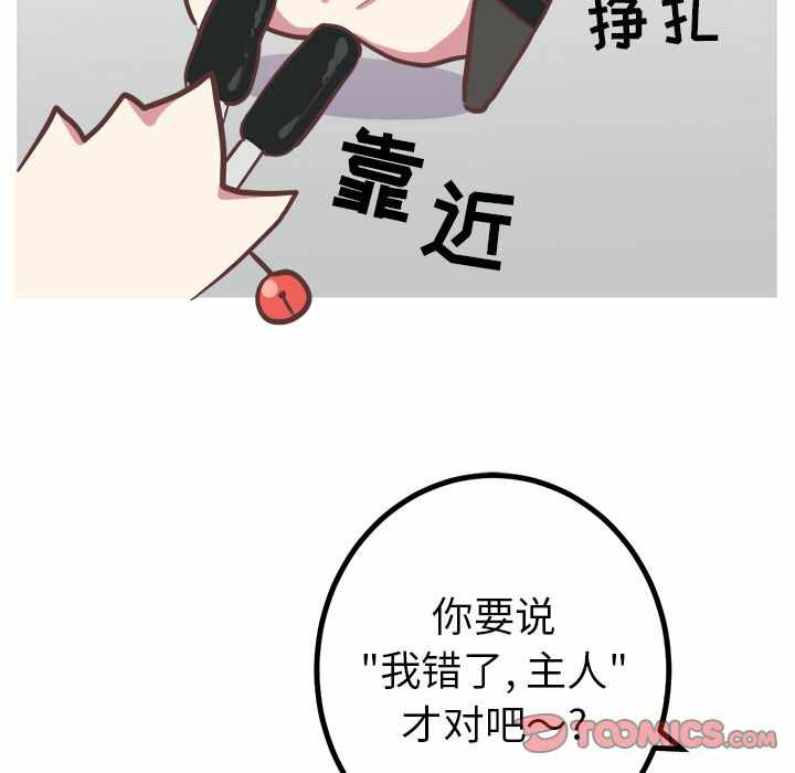 第37张