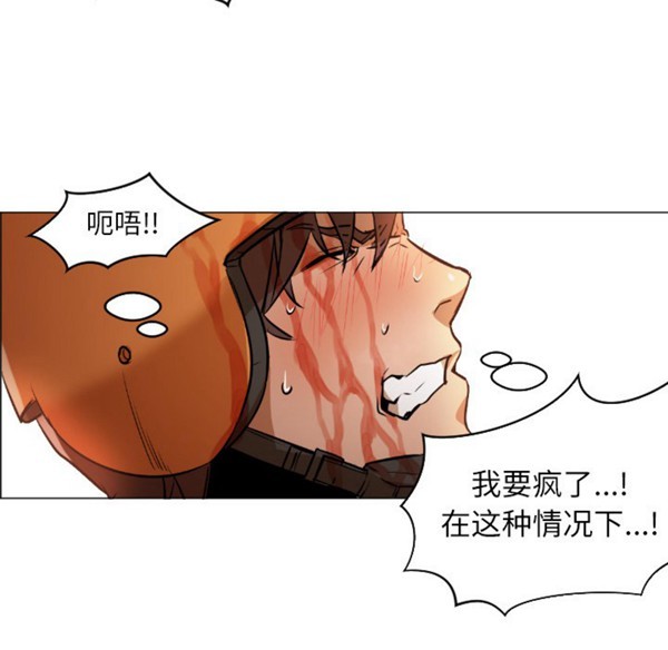 第41张