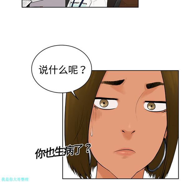 第43张