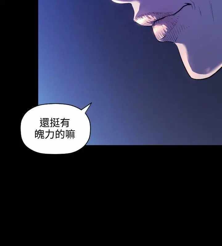 第3张
