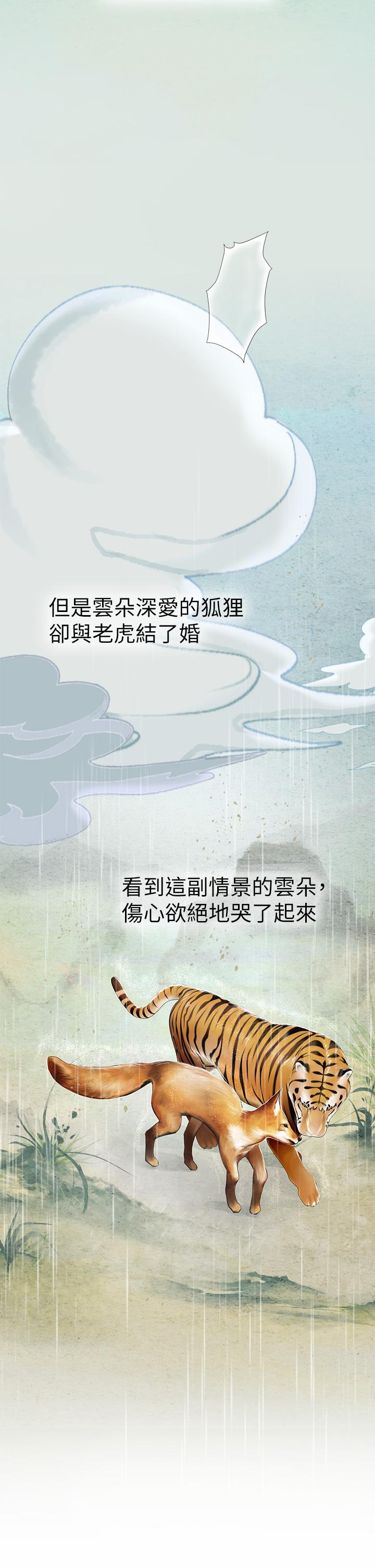 第27张