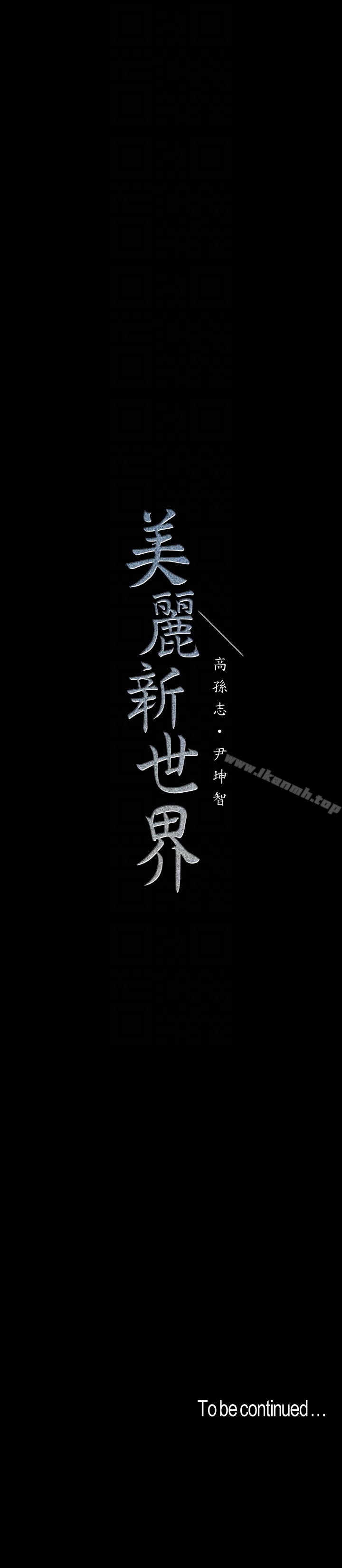 第33张
