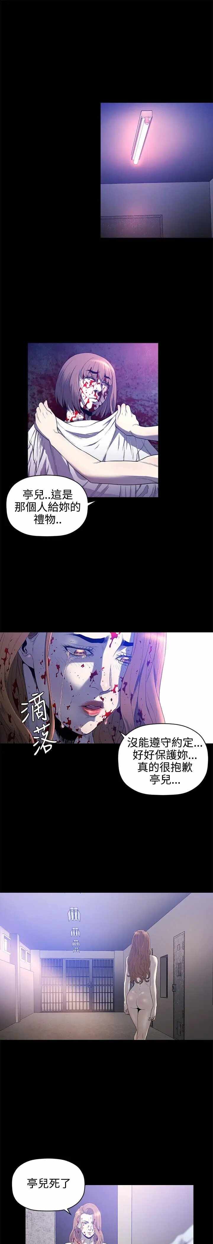 第17张