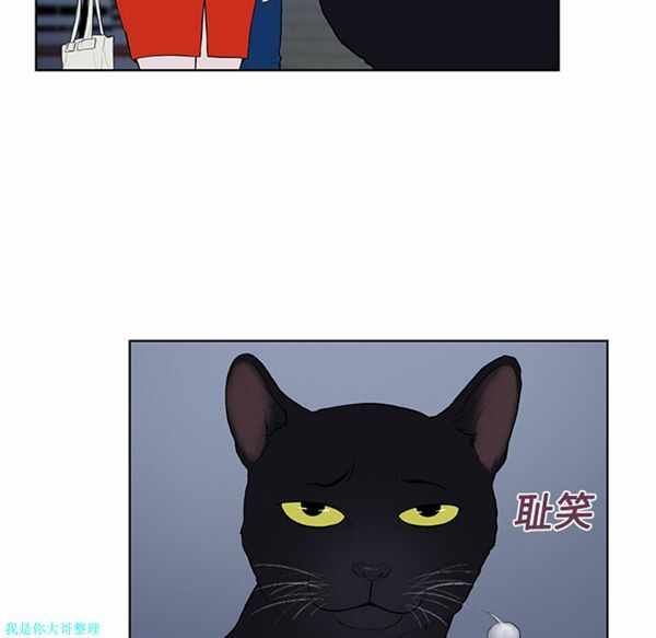 第56张