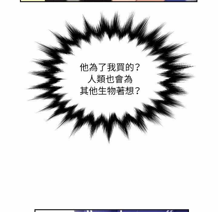 第52张