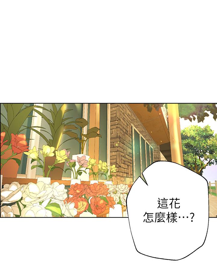 第27张
