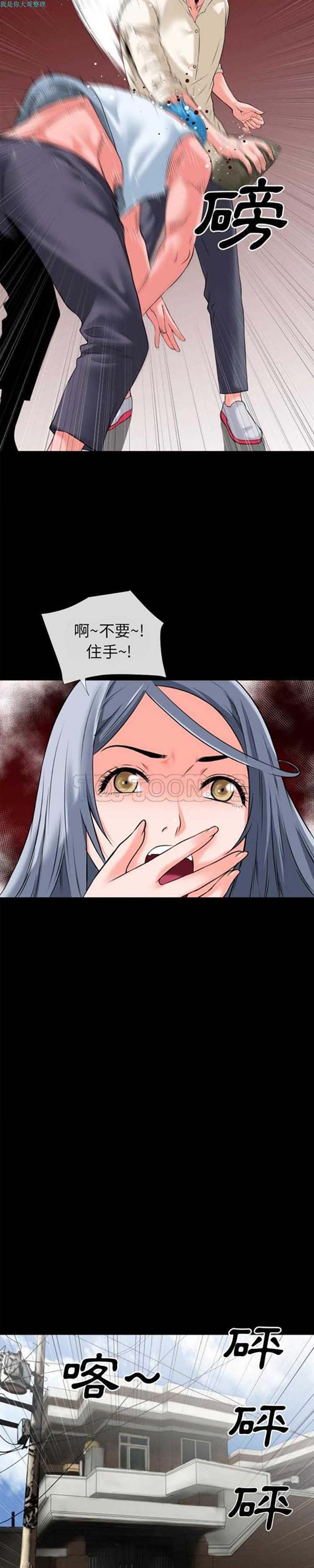 第11张