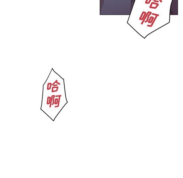 第48张